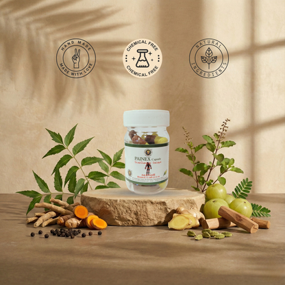 Painex Capsules: Natural Herbal Support for Body Comfort and Wellness