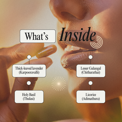 Aerosinus Capsules: Siddha Support for Sinus Comfort and Respiratory Wellness