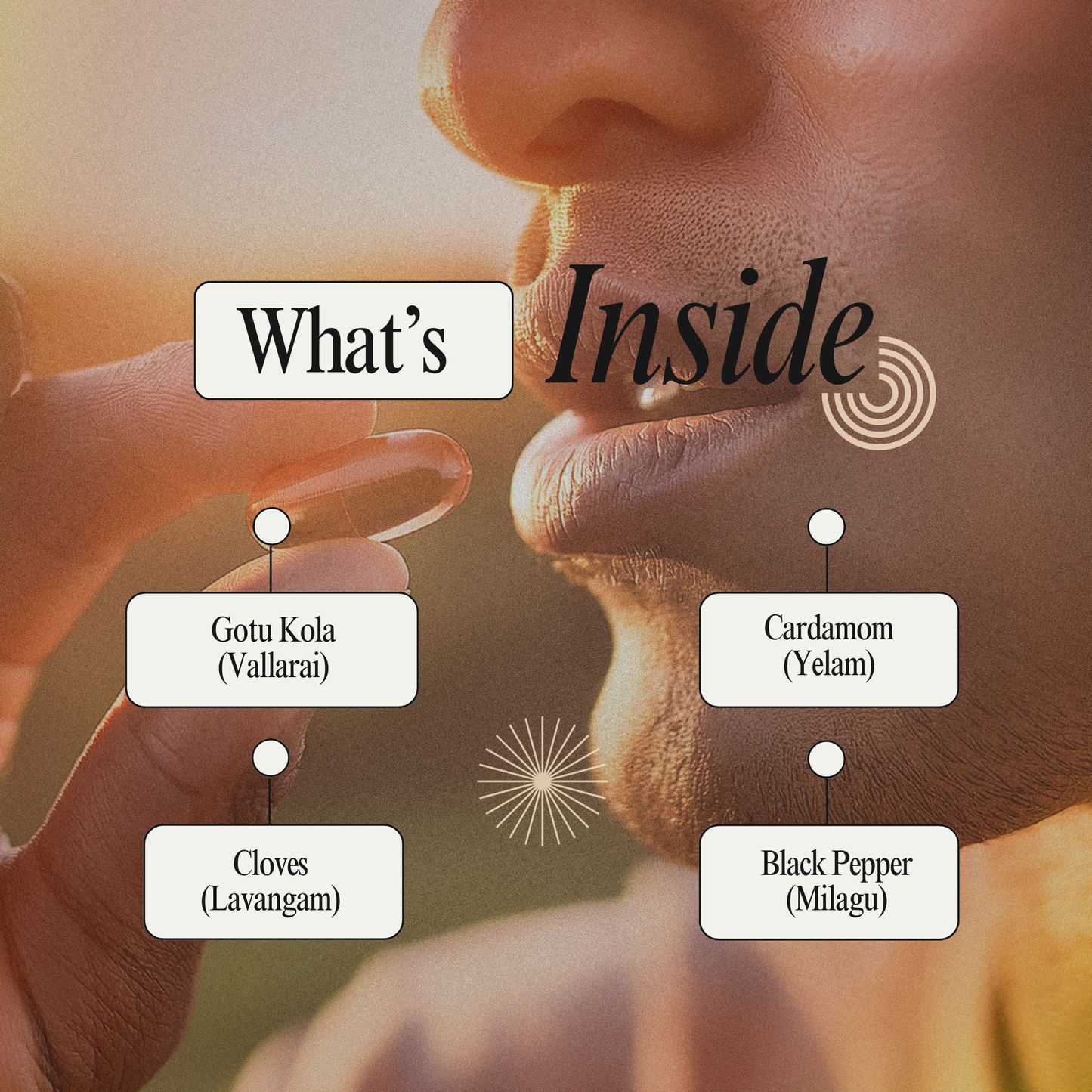 Vitoherb Capsule: Natural Herbal Support for Vitality and Wellness