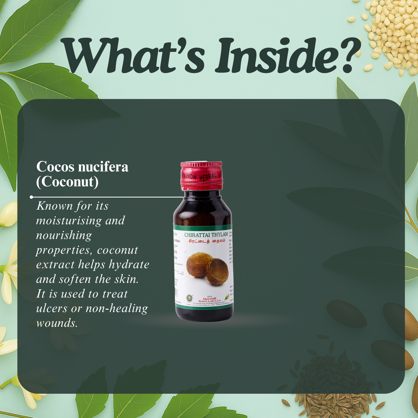 Chirattai Thylam: Natural Siddha Support for Skin Wellness and Hydration