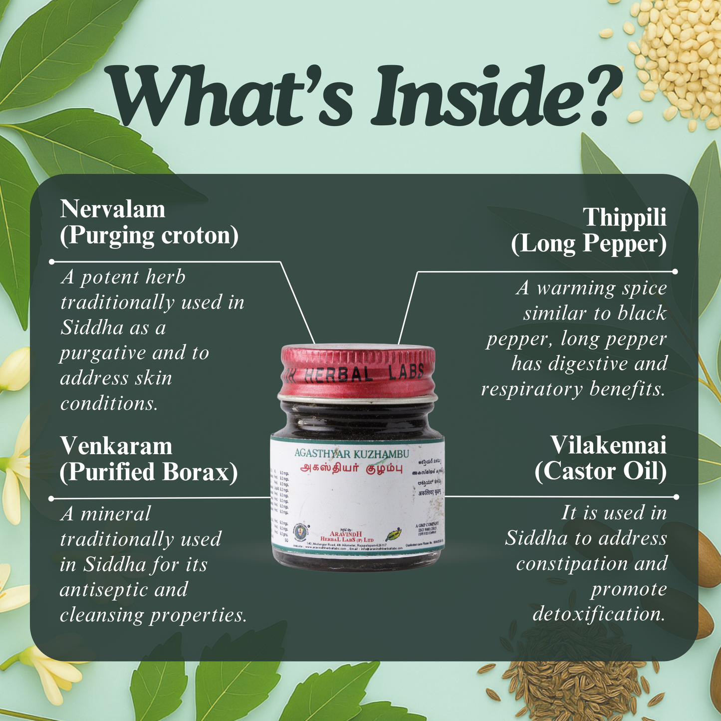 Agasthiyar Kuzhambu: A Potent Traditional Siddha Formulation (Use Only Under Practitioner Guidance)