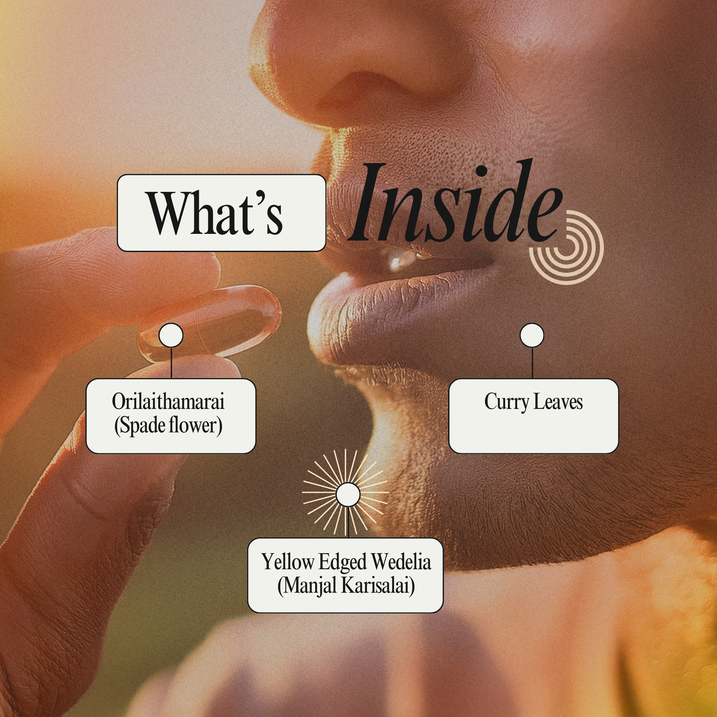 Aeroferr Capsule – Siddha Herbal Support for Iron Levels and Vitality
