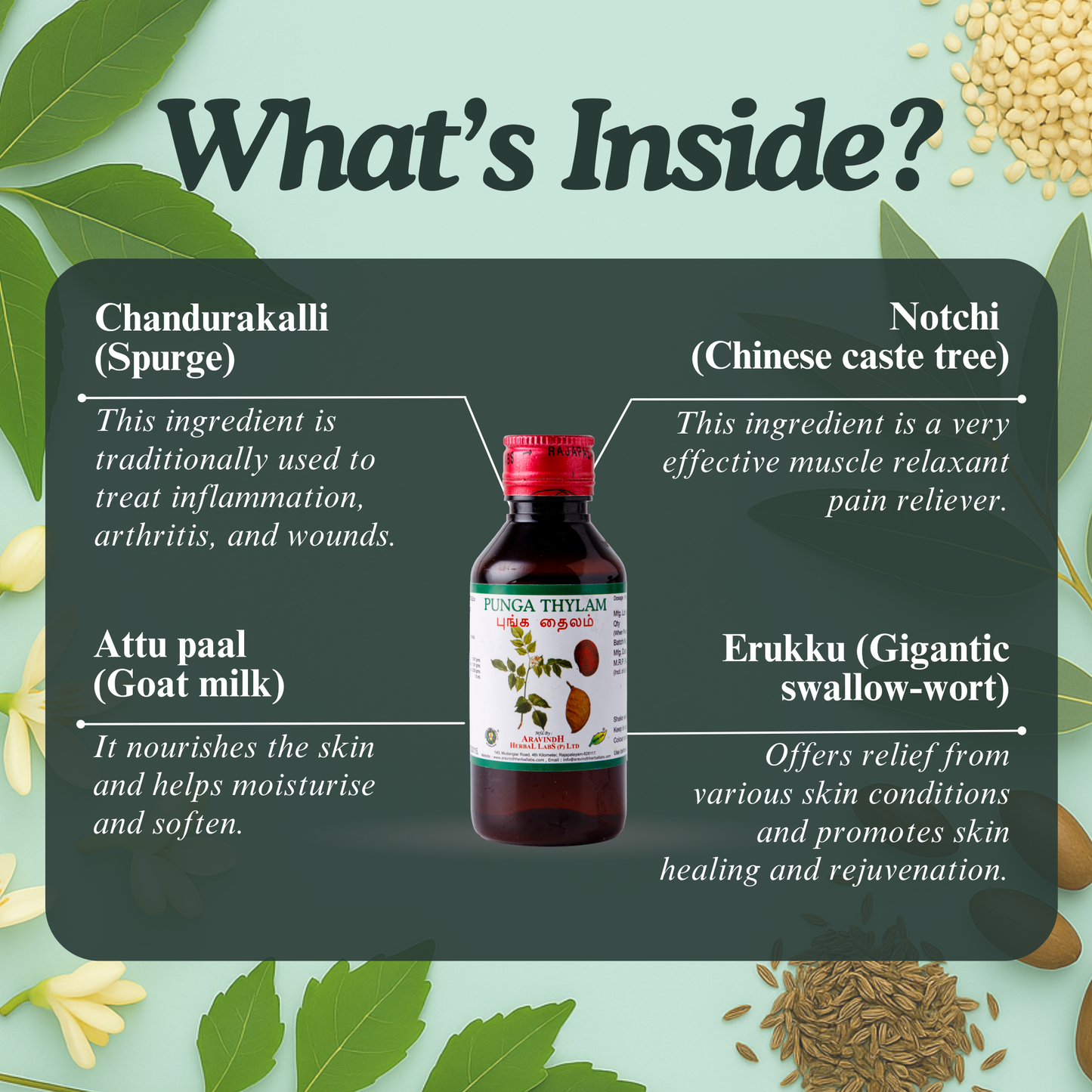 Vathakesari Thylam: Natural Siddha Support for Vata Balance and Muscle Comfort