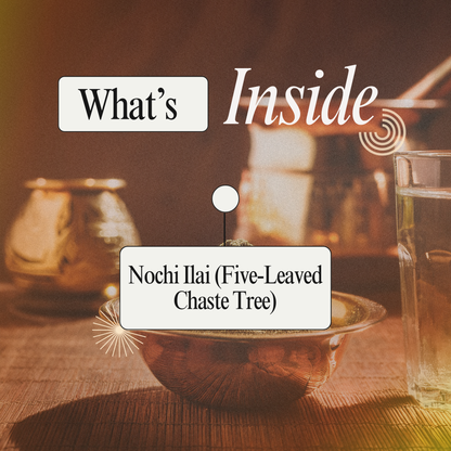 Support Natural Comfort with Nochi Ilai Podi (Five-Leaved Chaste Tree Powder)