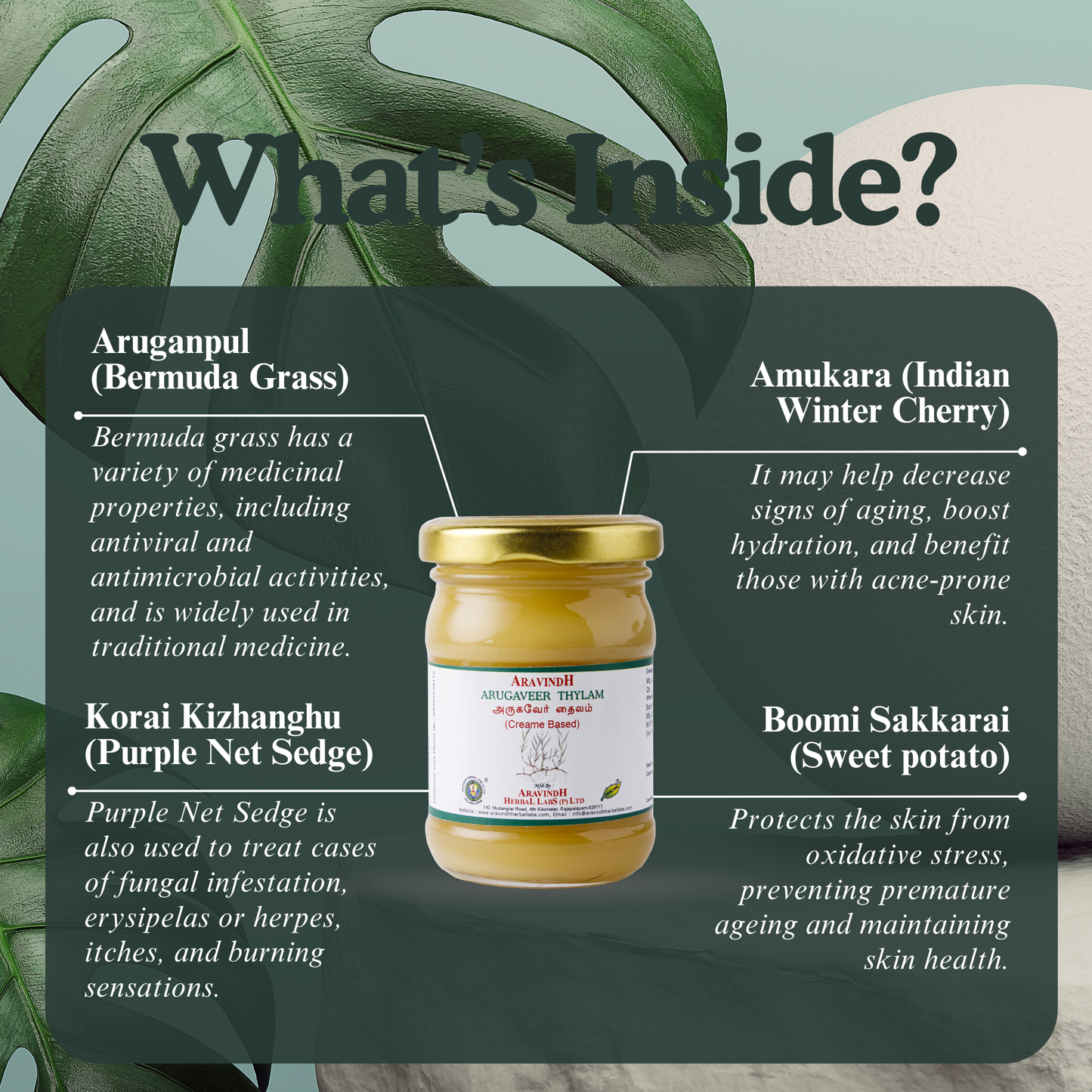 Arugan Thylam (wax-based): Natural Siddha Support for Skin Wellness and Seasonal Skin Comfort