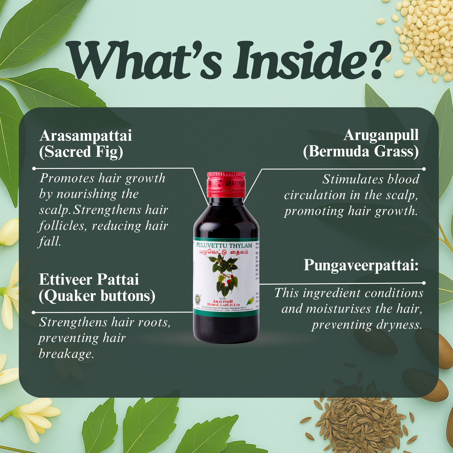 Puluvettu Thylam – Siddha Support for Hair Wellness and Scalp Care
