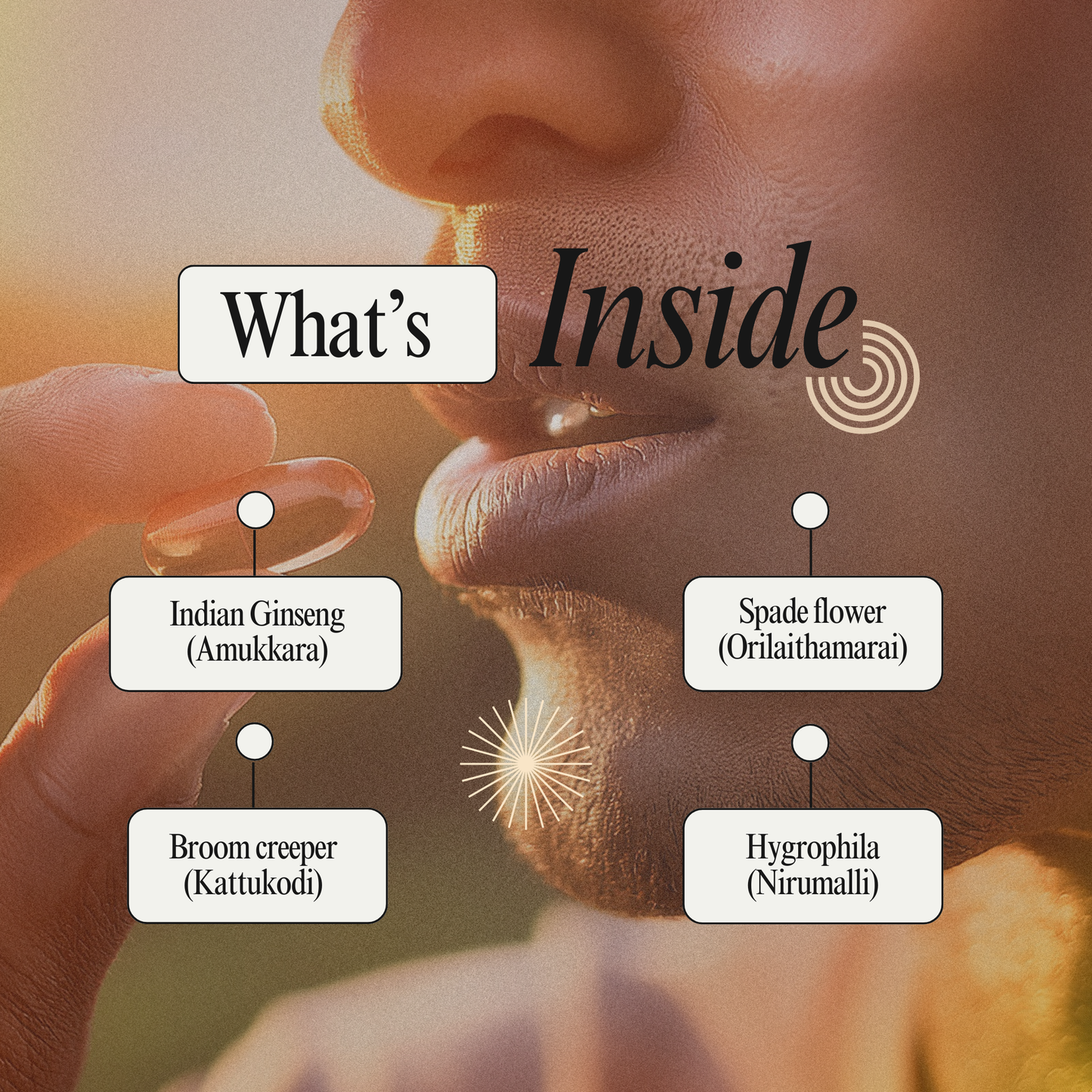 Neogara Capsule: Natural Siddha Support for Men's Vitality and Overall Wellness