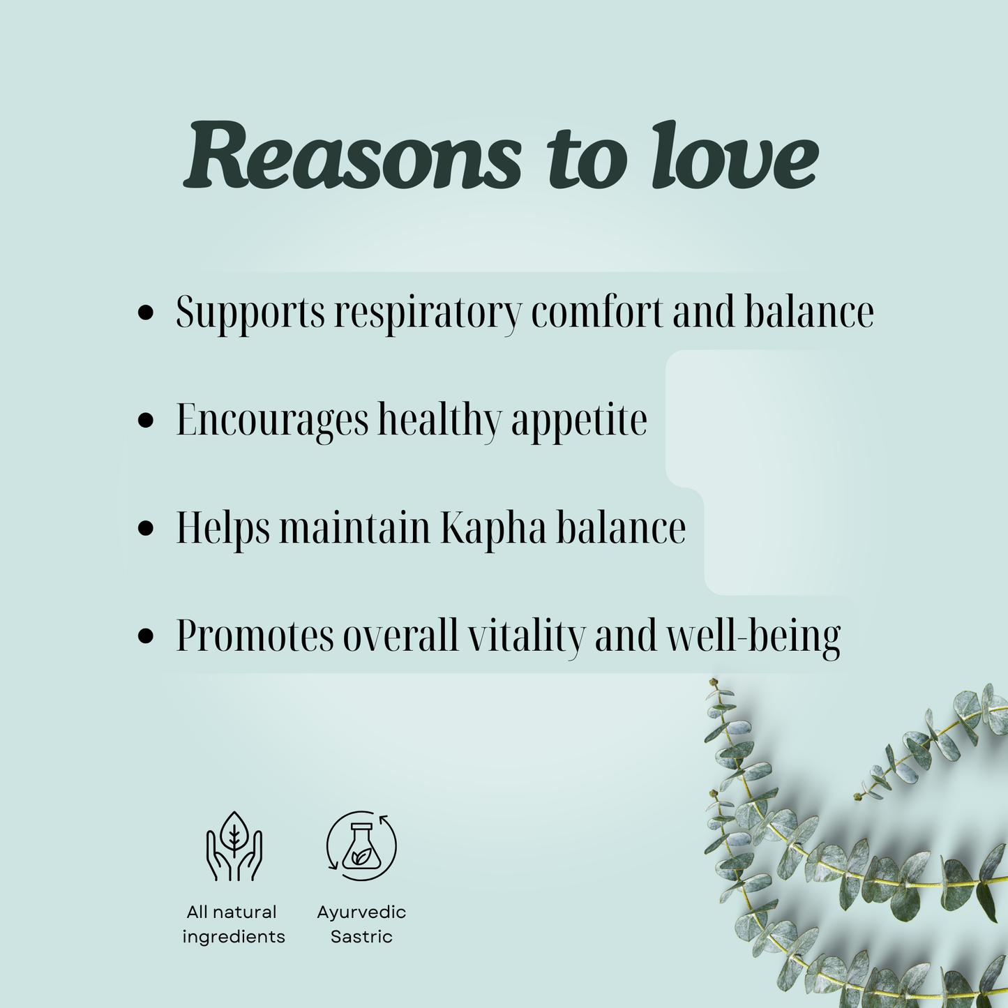Karpuradi Churna Ay: Traditional Ayurvedic Herbal Blend for Digestive and Respiratory Wellness