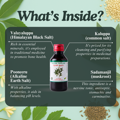 Nochi Thylam – Natural Siddha Support for Body Comfort, Seasonal Wellness and Respiratory Ease