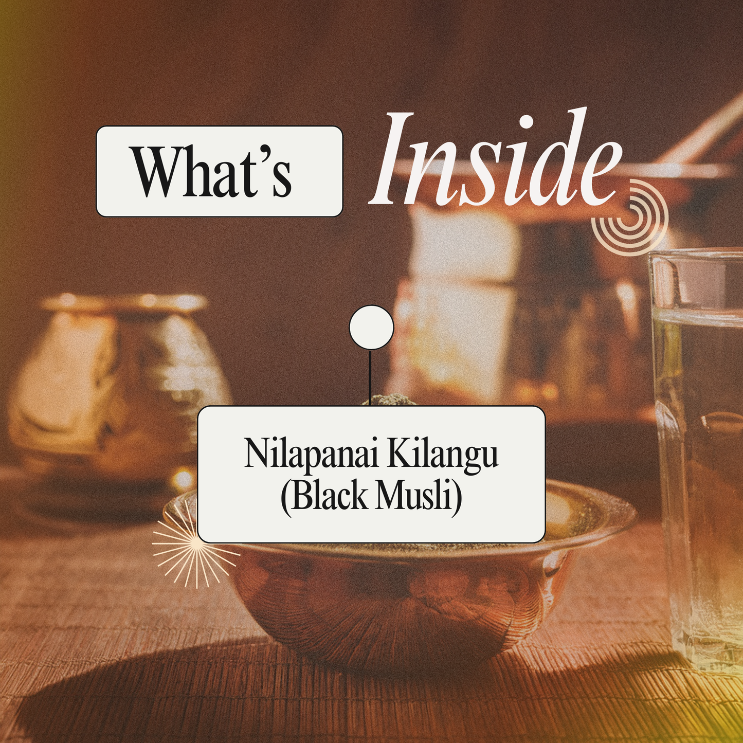 Boost Energy & Stamina with Organic Nilapanai Kilangu Podi (Black Musli Powder)