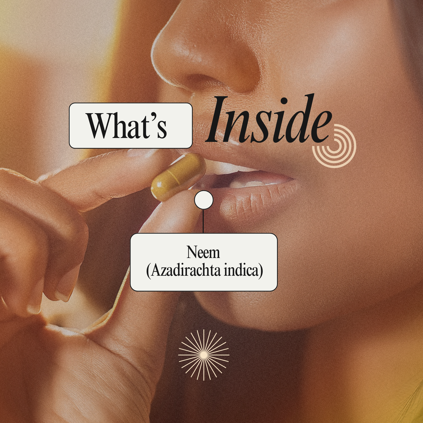 Support Everyday Wellness Naturally with our Neemforte Capsule