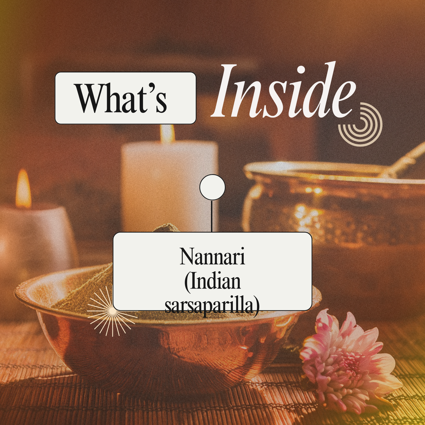 Nannari Podi: Traditional Herbal Support for Cooling, Hydration & Everyday Wellness