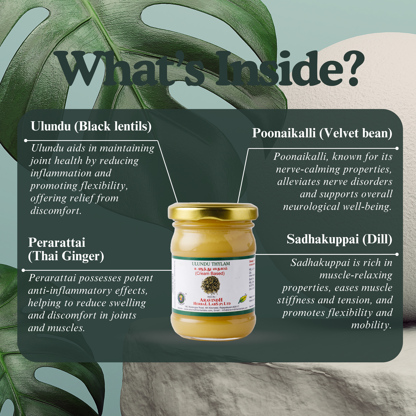 Ulunthu Thylam (wax-based): Natural Siddha Support for Joint Wellness & Nerve Comfort