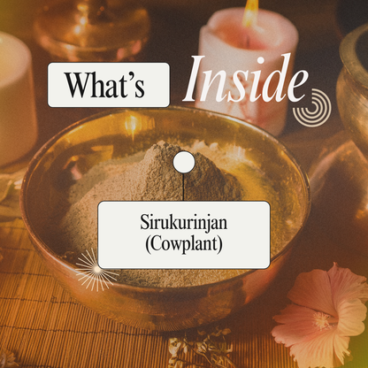 Sirukurinjan Podi: Traditional Herbal Support for Metabolic Wellness and Everyday Balance