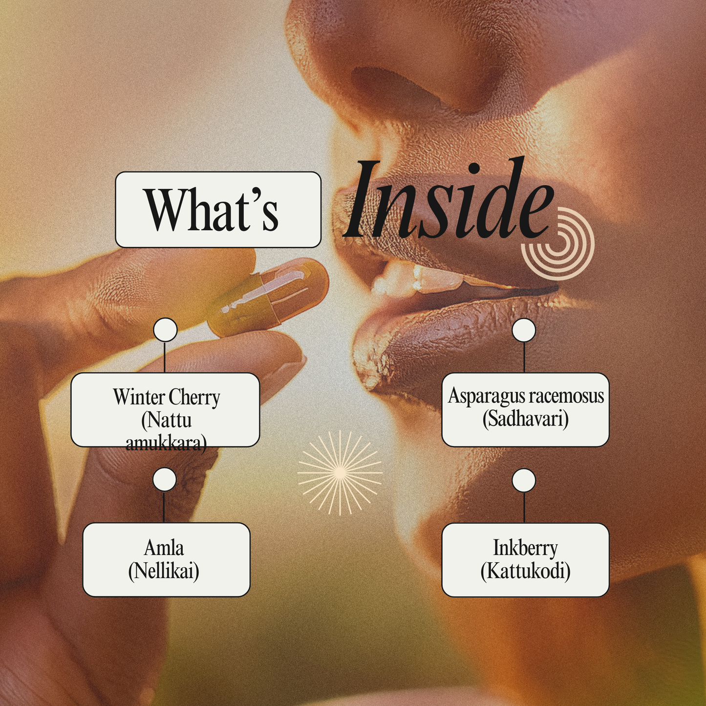 Stressnil Capsules - Your Natural Support for Stress Ease