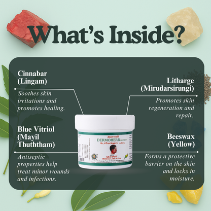 Dermo Herb Ointment: Traditional Siddha Herbal Skin Care Support