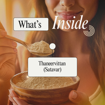 Thaneervittan Podi: Traditional Herbal Support for Vitality and Everyday Balance