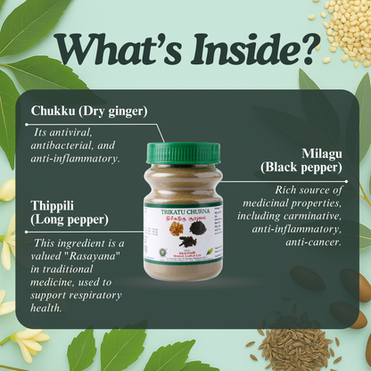 Trikatu Churna Ay: Traditional Ayurvedic Herbal Blend for Digestive and Respiratory Wellness