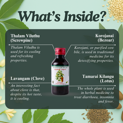 Chandanathi Thylam: Natural Siddha Support for Body Heat Balance and Skin Comfort