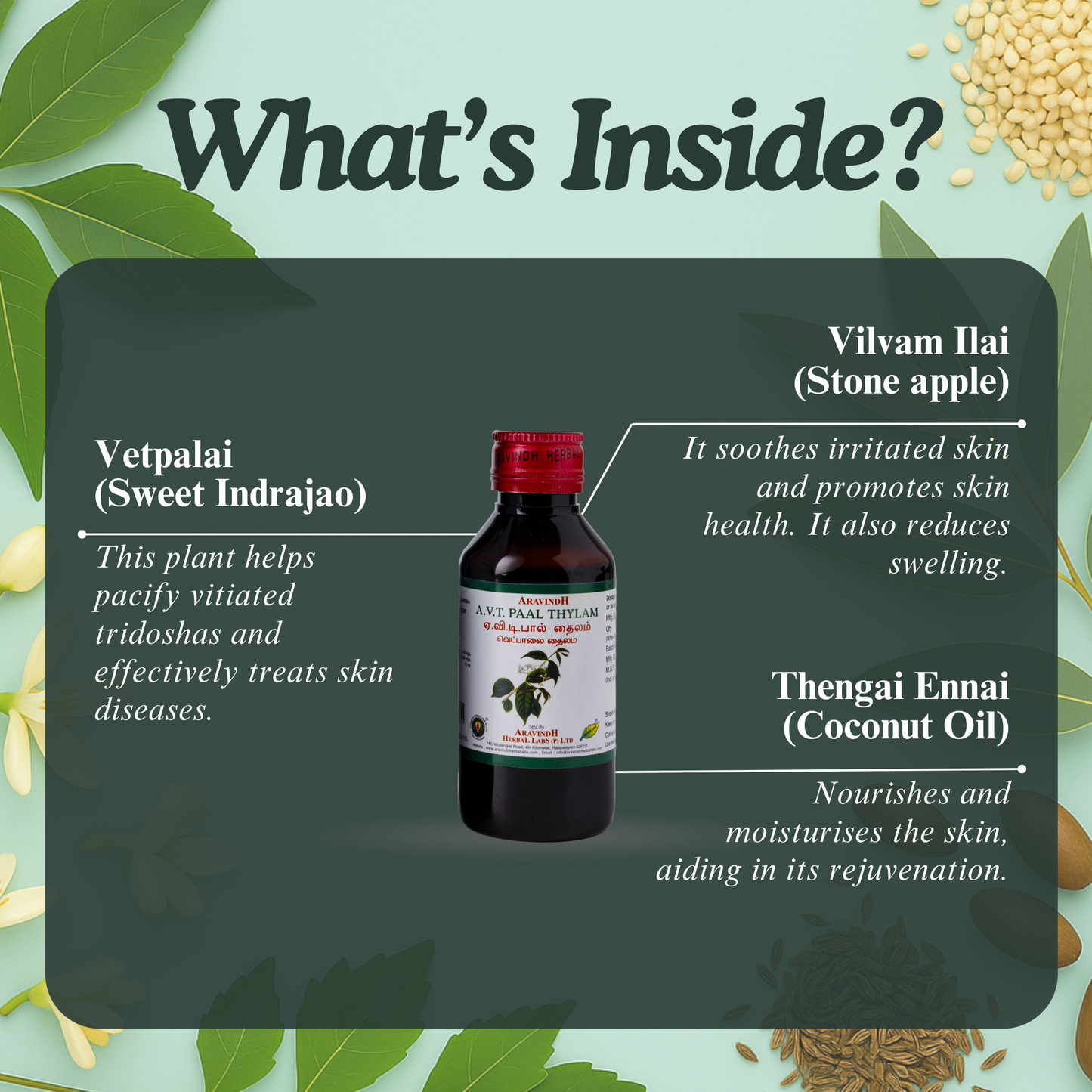 A.V.T.Pall Thylam: Natural Siddha Support for Skin Wellness