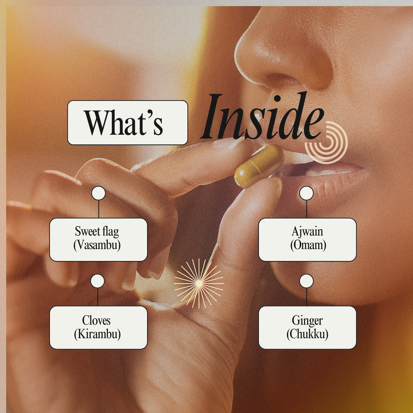 Painex Capsules: Natural Herbal Support for Body Comfort and Wellness