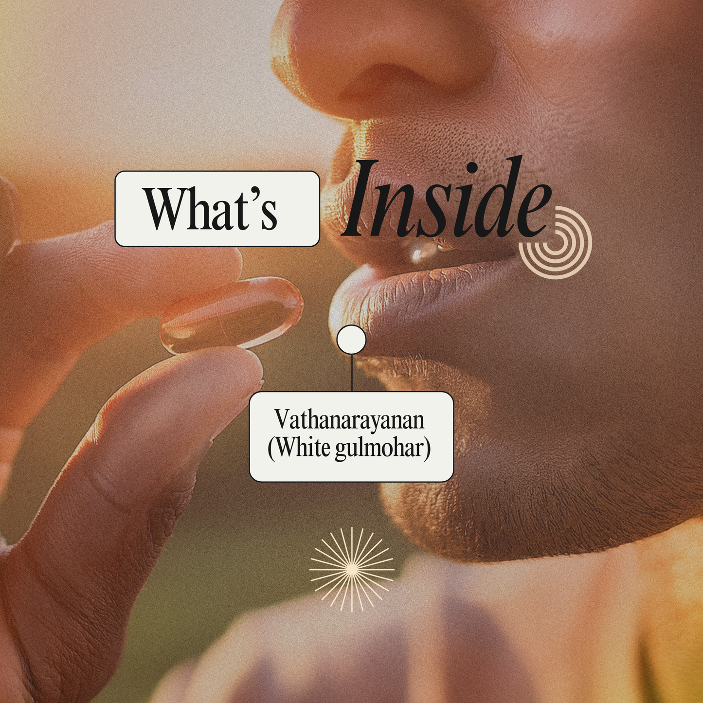 Support Joint Wellness Naturally with Delonix-E Capsules: A Siddha Approach to Vata Balance