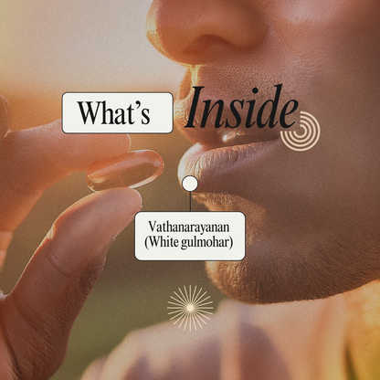 Support Joint Wellness Naturally with Delonix-E Capsules: A Siddha Approach to Vata Balance