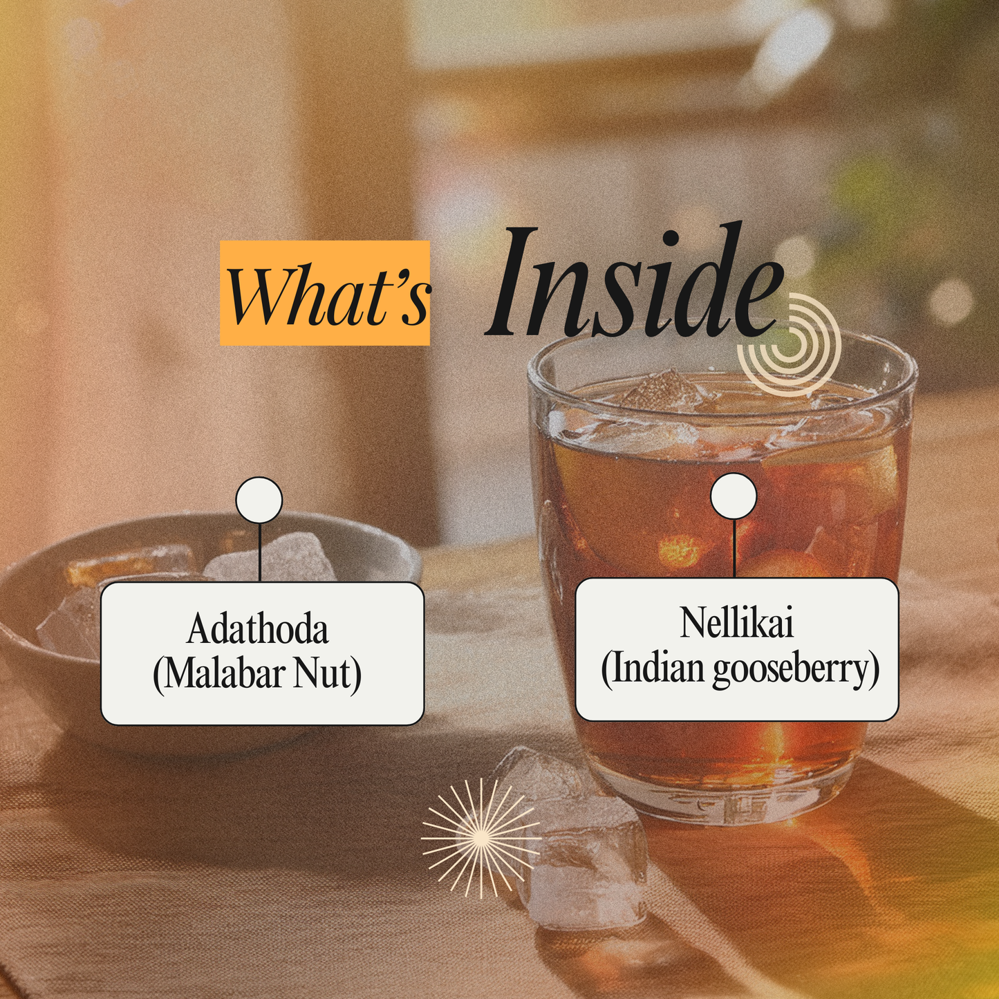Adathoda Juice – Support Clear Breathing & Respiratory Wellness