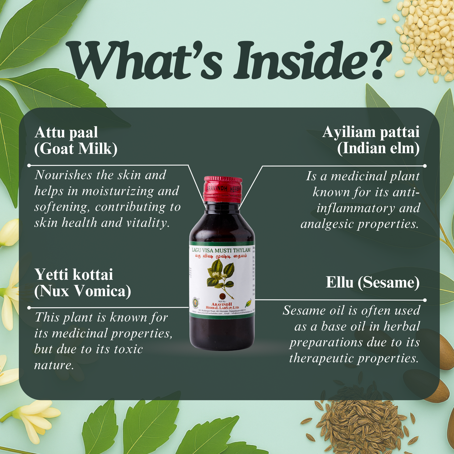 Lagu Visa Musti Thylam: Natural Siddha Support for Joint and Muscle Comfort