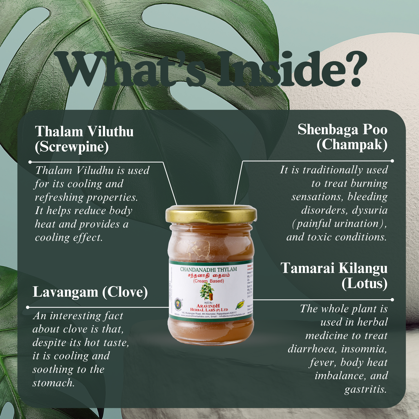 Chandanathi Thylam (wax-based): Natural Siddha Support for Body Heat Balance and Cooling Comfort
