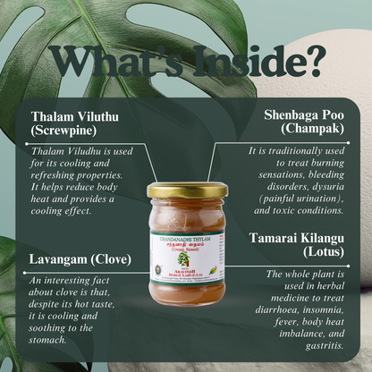 Chandanathi Thylam (wax-based): Natural Siddha Support for Body Heat Balance and Cooling Comfort