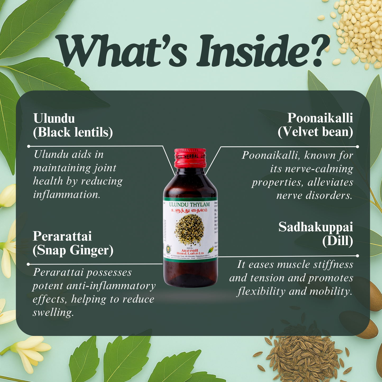 Ulunthu Thylam: Traditional Siddha Support for Joint Comfort and Nerve Wellness