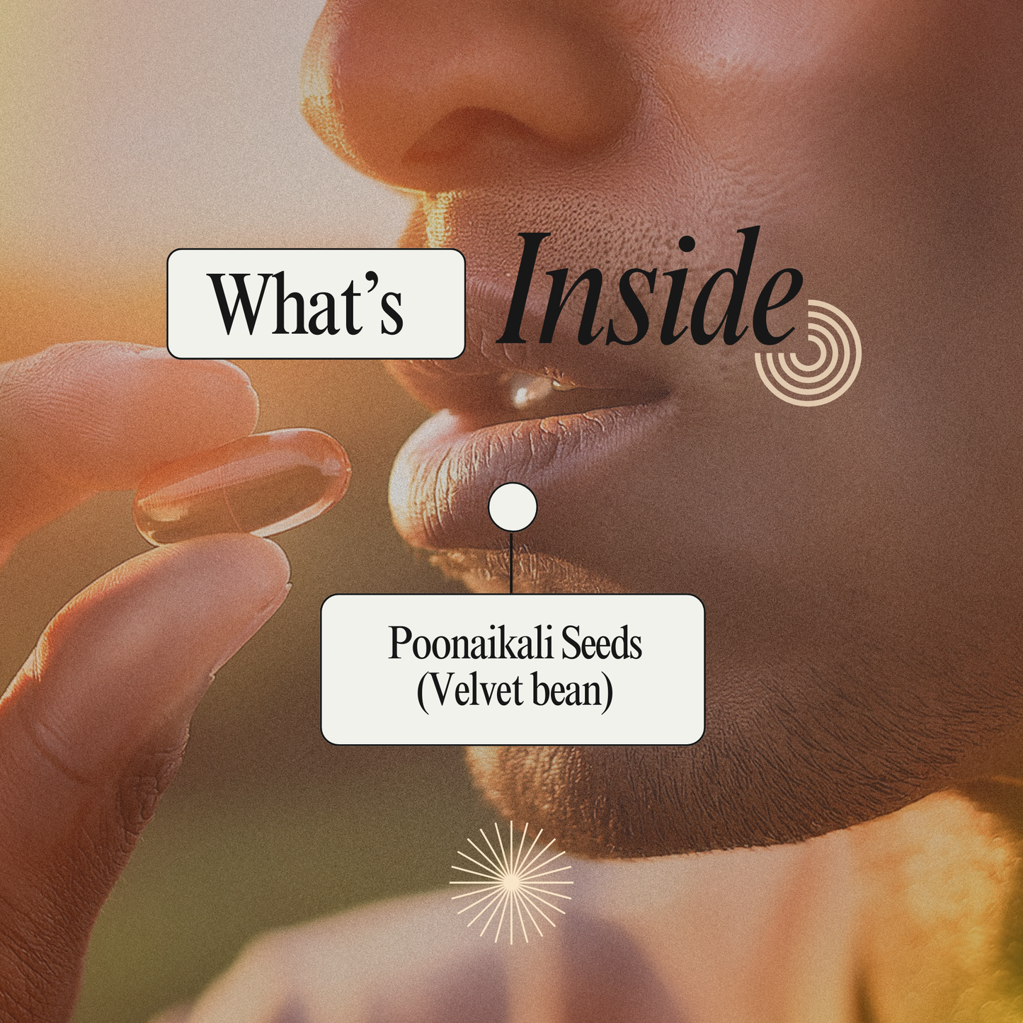 Reignite Vitality & Confidence with Poonaikali Seed Capsules: A Natural Siddha Solution for Men's Wellness