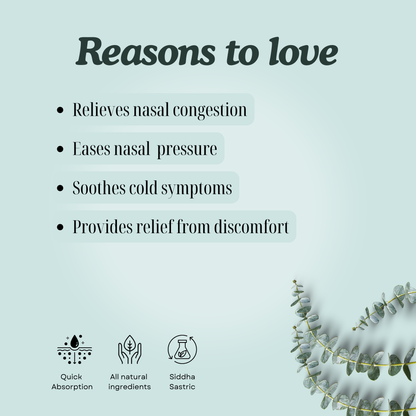 Pinisa Thylam – Siddha Support for Nasal Comfort and Respiratory Wellness