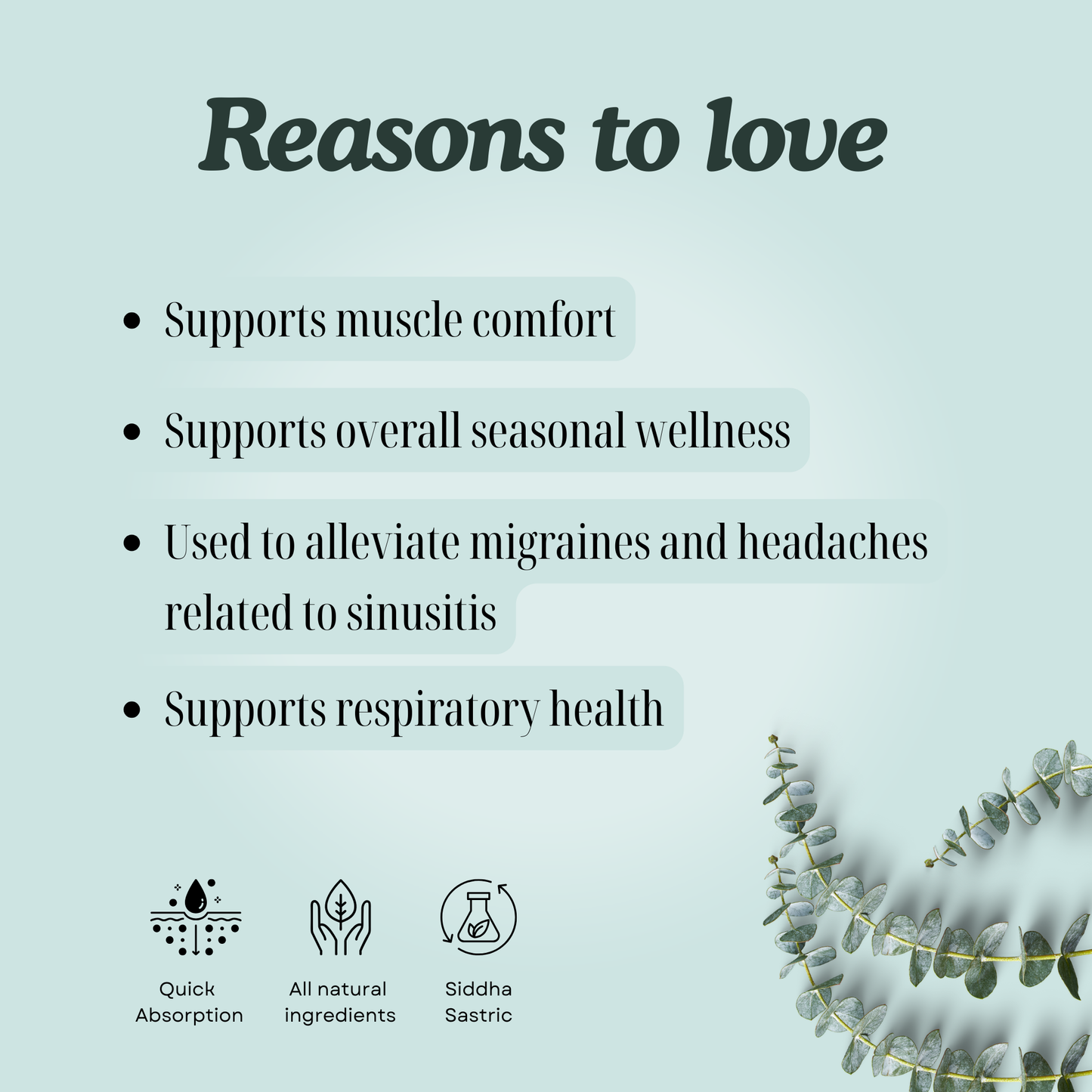 Nochi Thylam – Natural Siddha Support for Body Comfort, Seasonal Wellness and Respiratory Ease