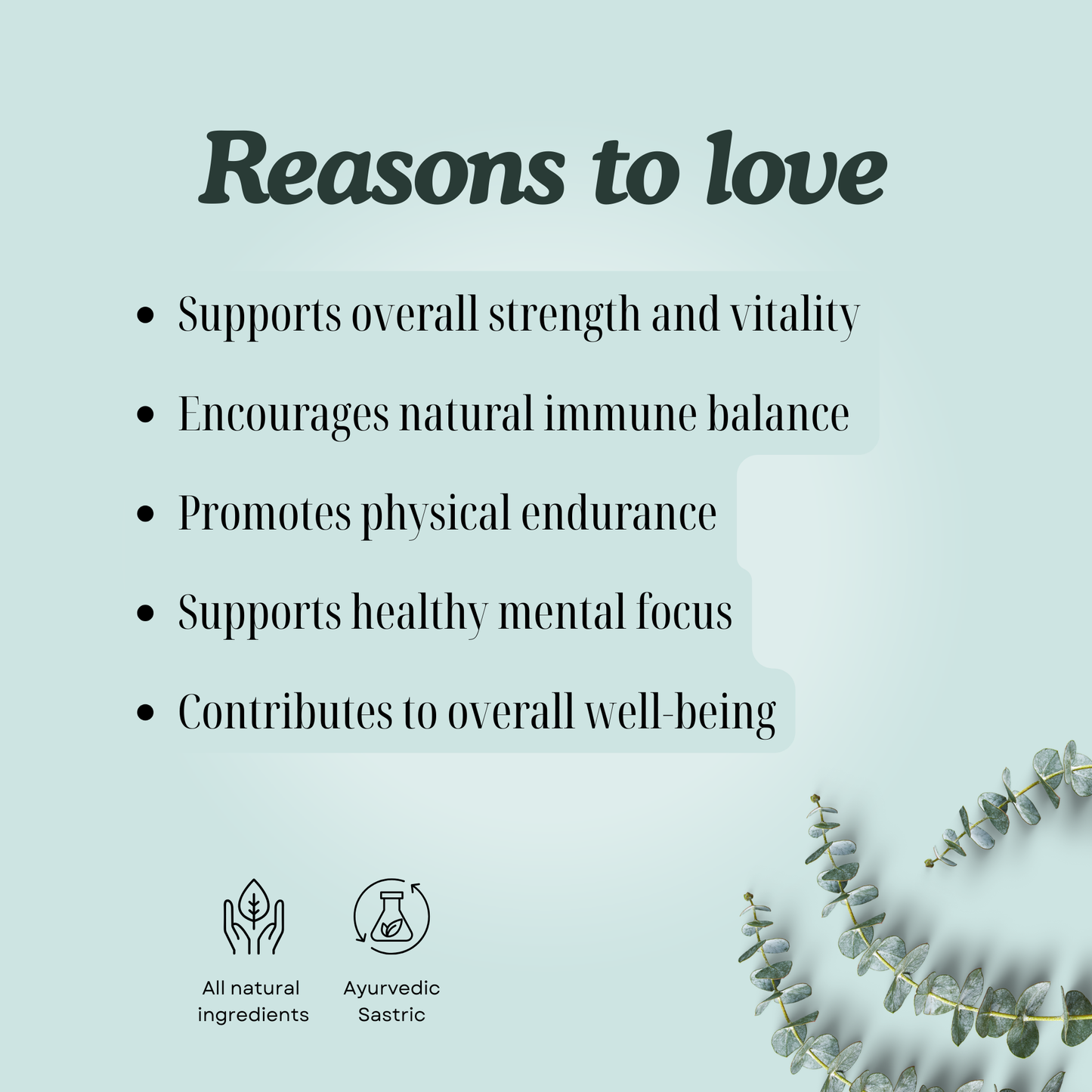 Revitalise Your Body with Ashwagandha Churna Ay – A Traditional Herbal Blend for Vitality
