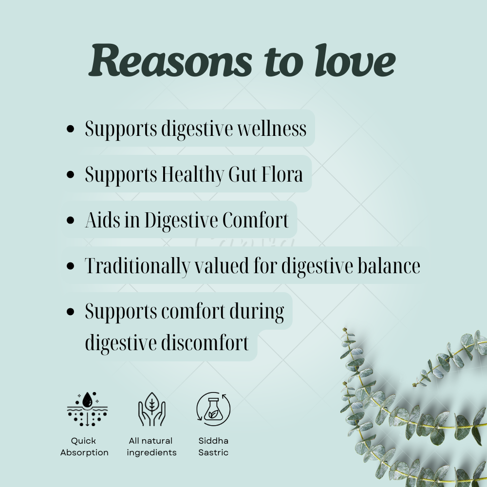 Meni Thylam: Supporting Digestive Wellness and Intestinal Balance Naturally
