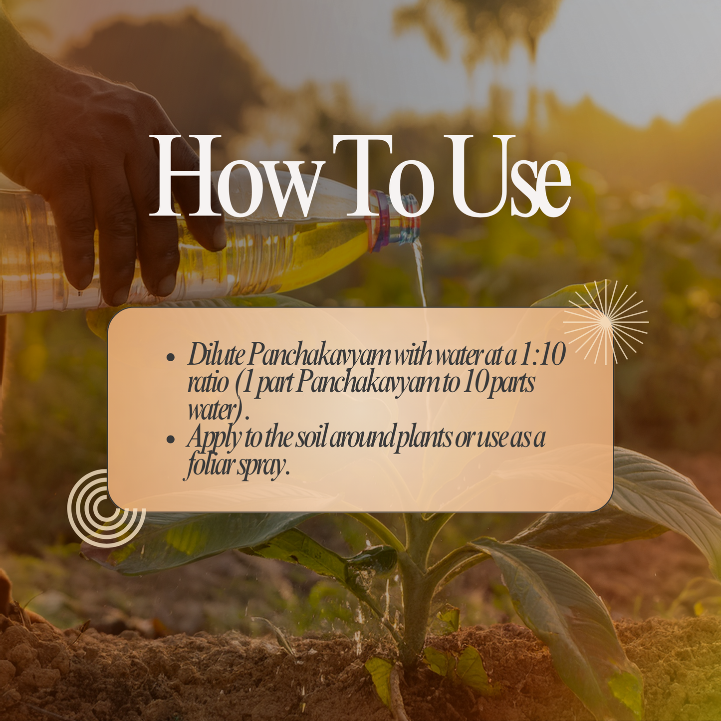 Panchakavyam: Revitalise Your Garden with the Power of Tradition