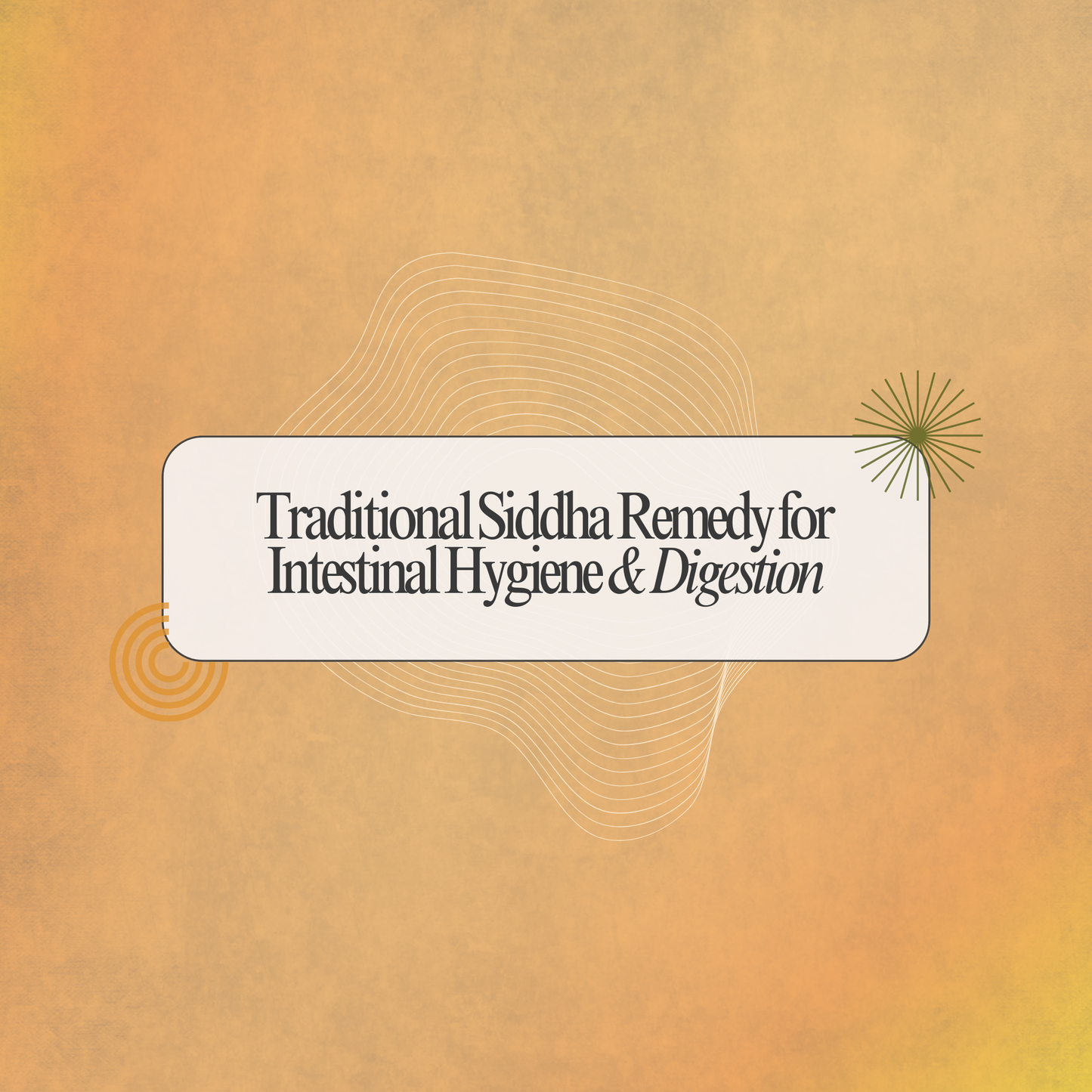 Murukkan Vidai Mathirai: Traditional Siddha Support for Intestinal Wellness & Digestion