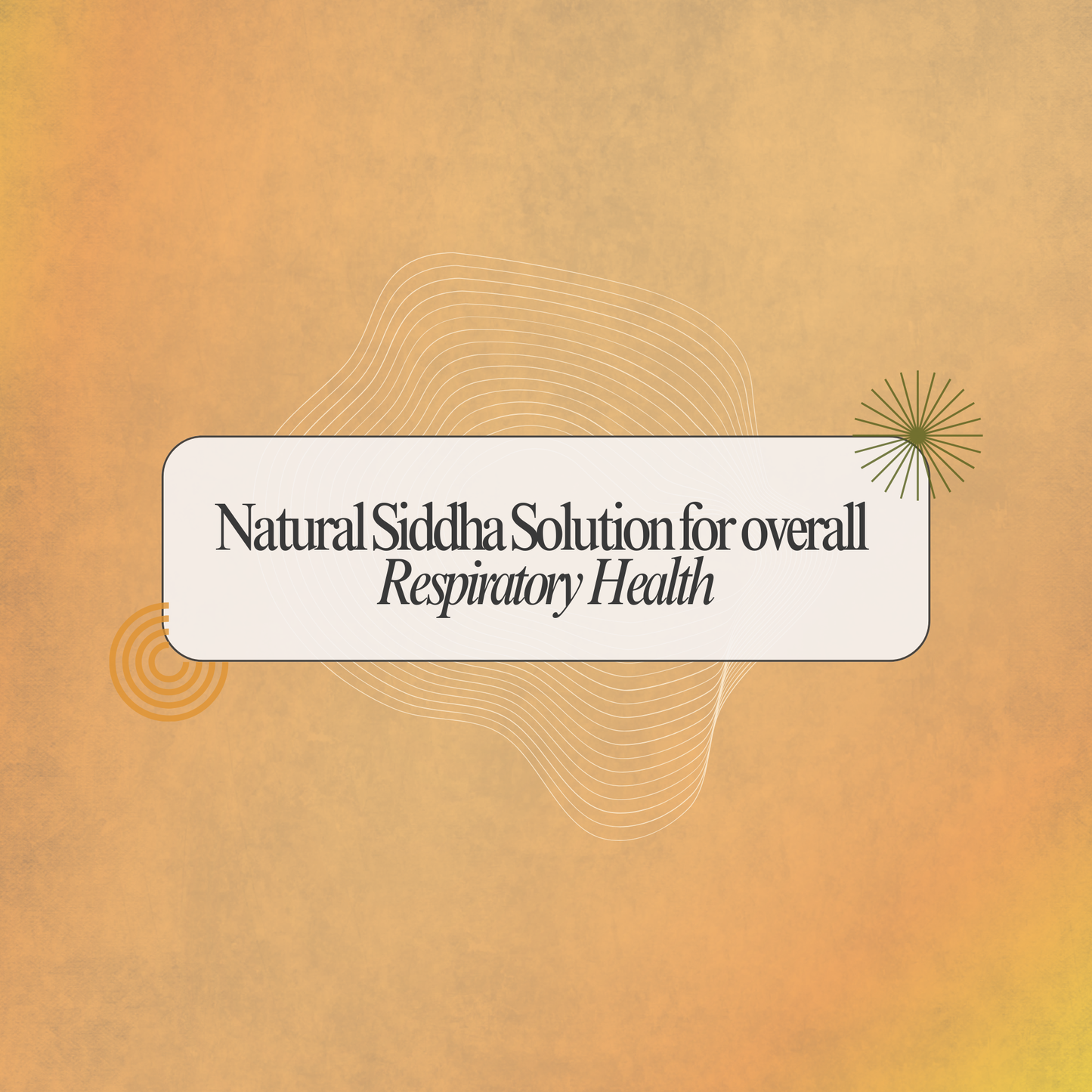 Aerosinus Capsules: Siddha Support for Sinus Comfort and Respiratory Wellness