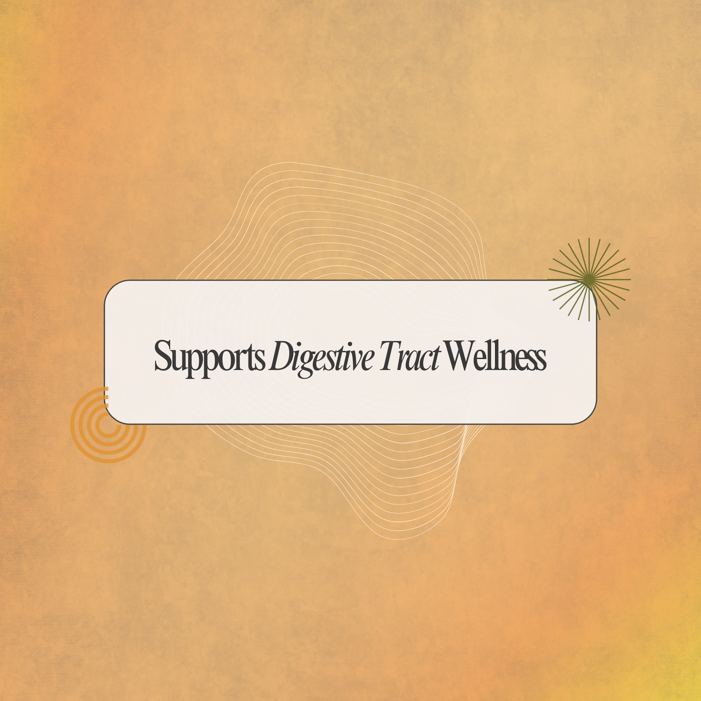 Soothe Digestive Discomfort with Ulcer Syrup: A Siddha Support for Digestive Wellness