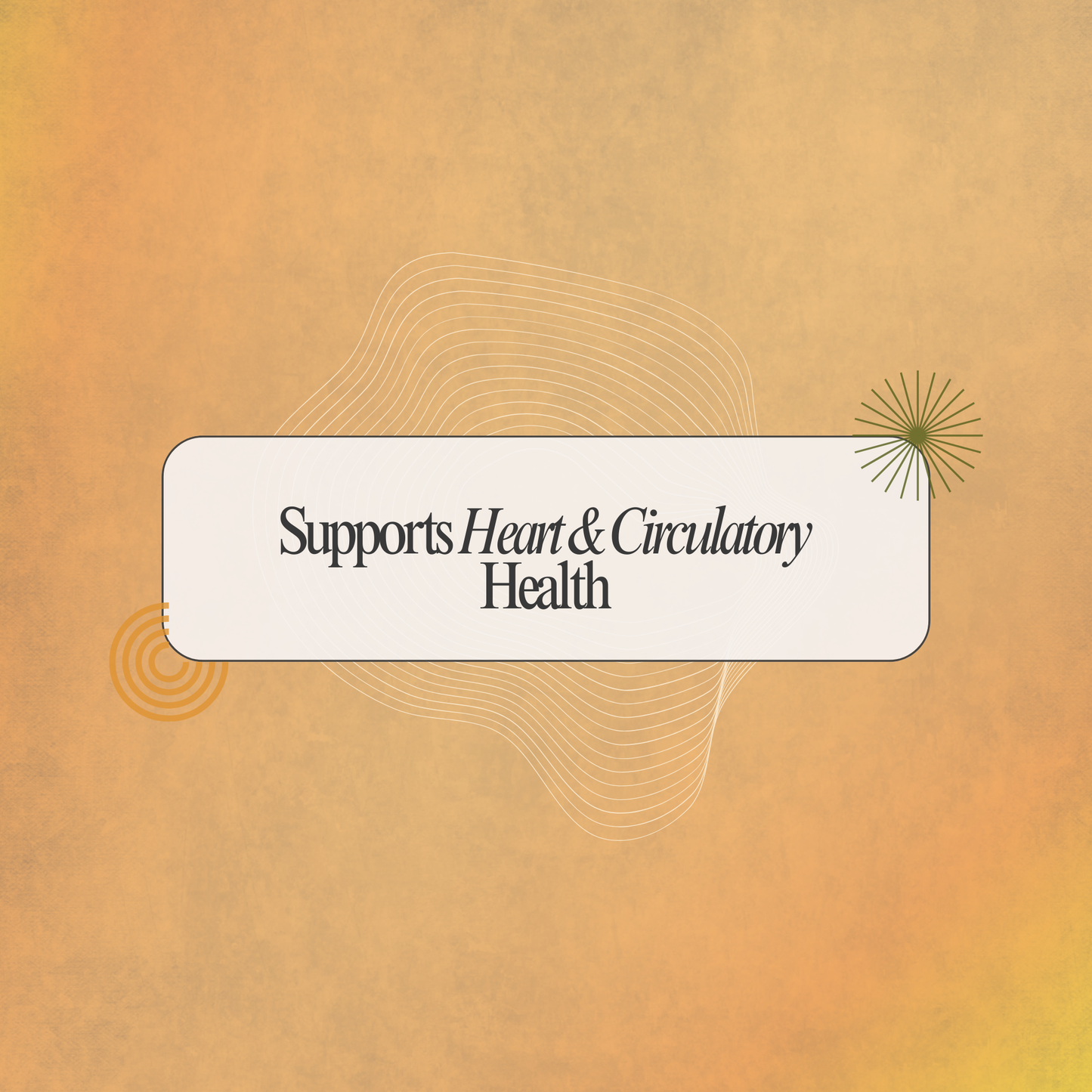 Support Circulatory Wellness Naturally with Herboserbin Capsules