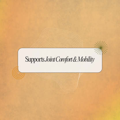 Rheumatigo Capsules: Natural Herbal Support for Joint Comfort