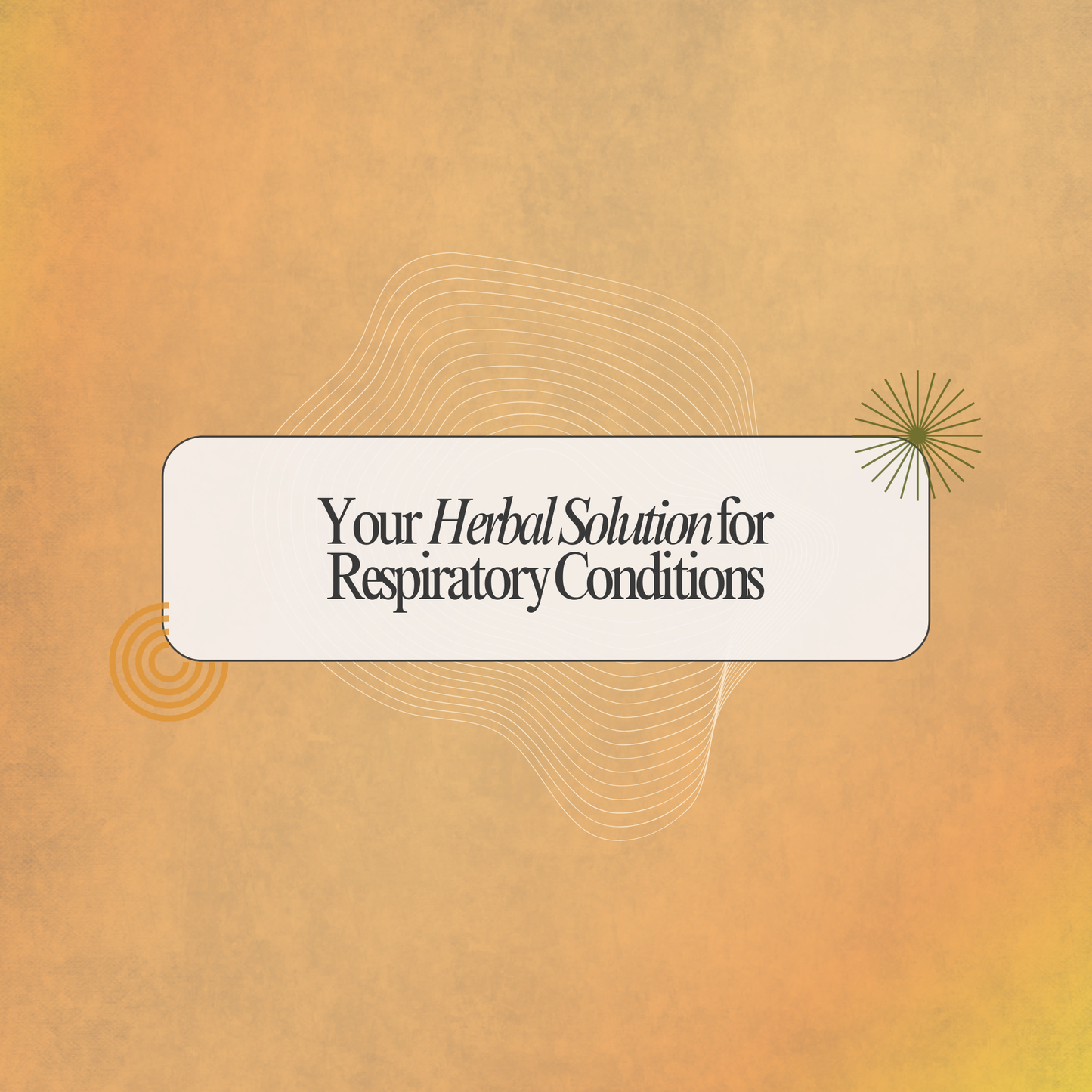 Discover Natural Wellness with Kandankathiri Podi: Your Herbal Support for Respiratory Comfort