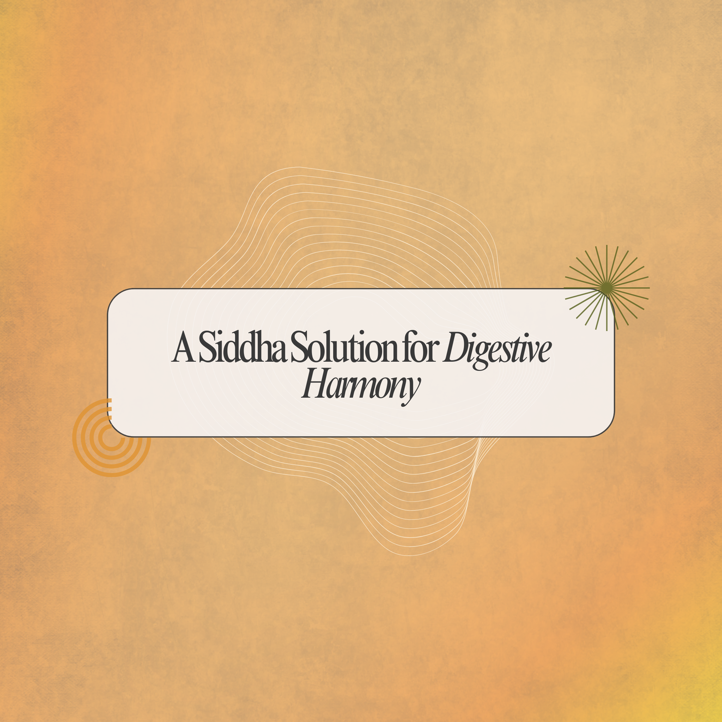 Reignite Your Appetite Naturally with Aeroliv Syrup: A Siddha Support for Digestive Harmony