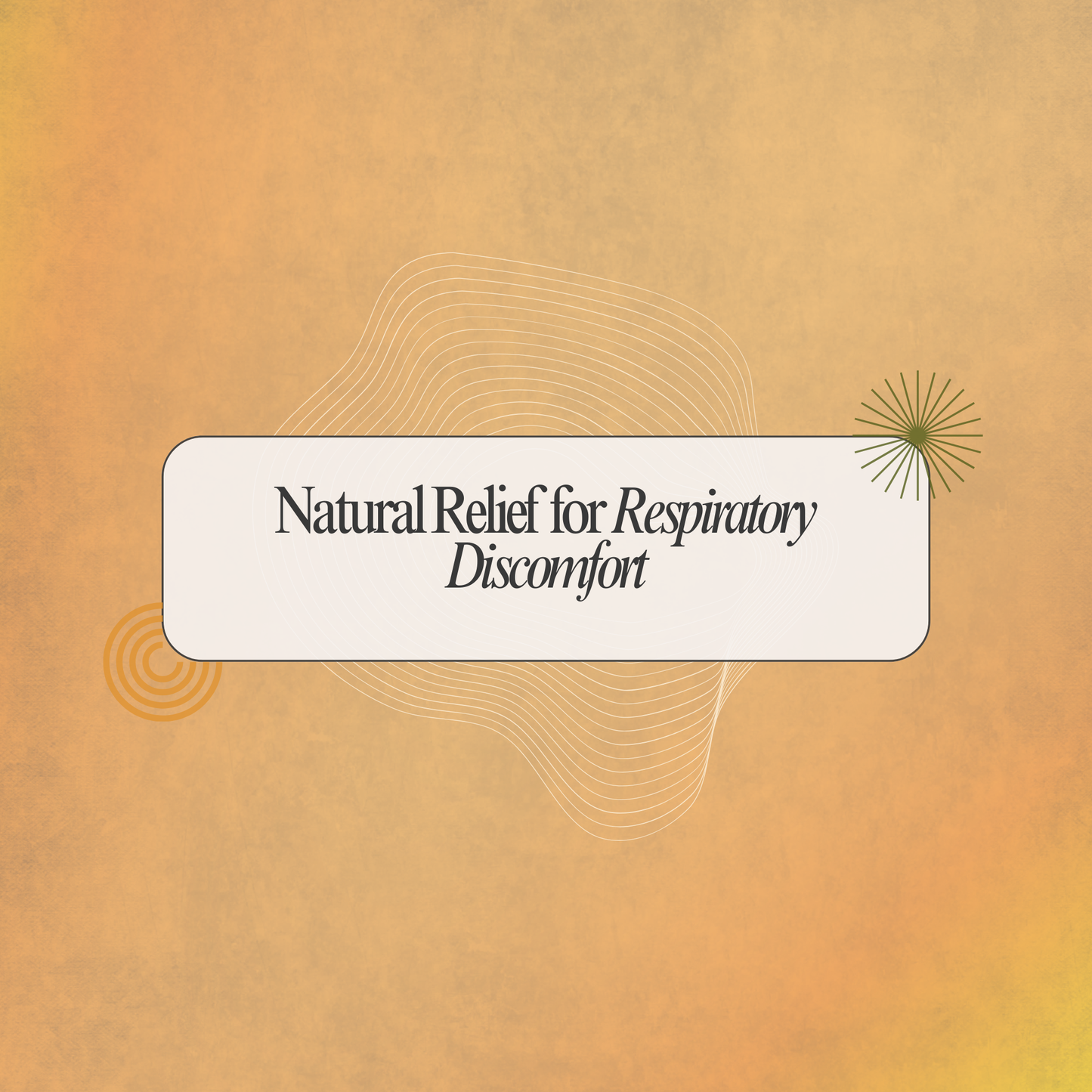 Breathe Easy with Musumusukkai Podi: Natural Support for Respiratory Comfort
