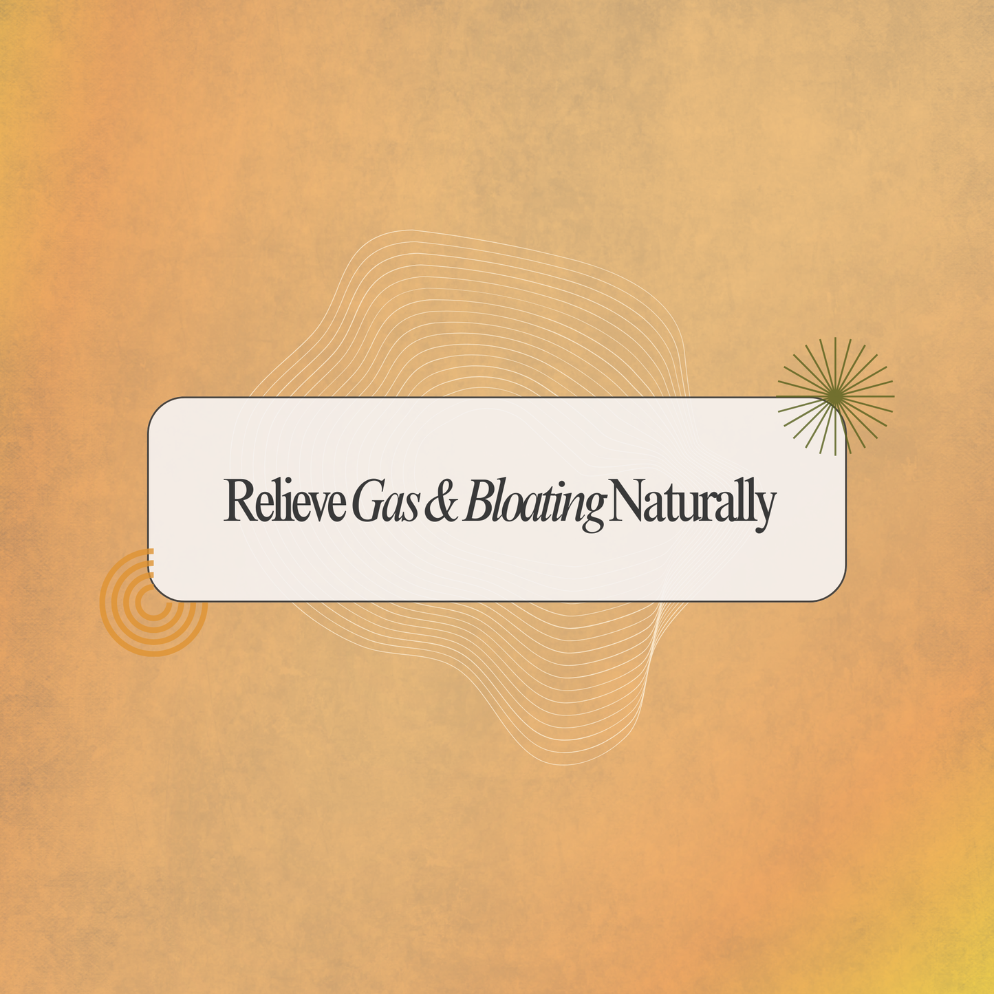 Relieve Gas & Bloating Naturally with Oma Theeneer: A Traditional Siddha Remedy