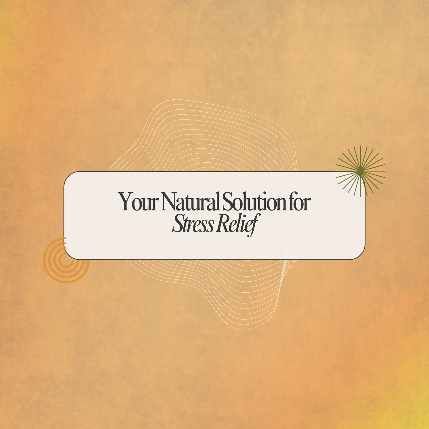 Stressnil Capsules - Your Natural Support for Stress Ease
