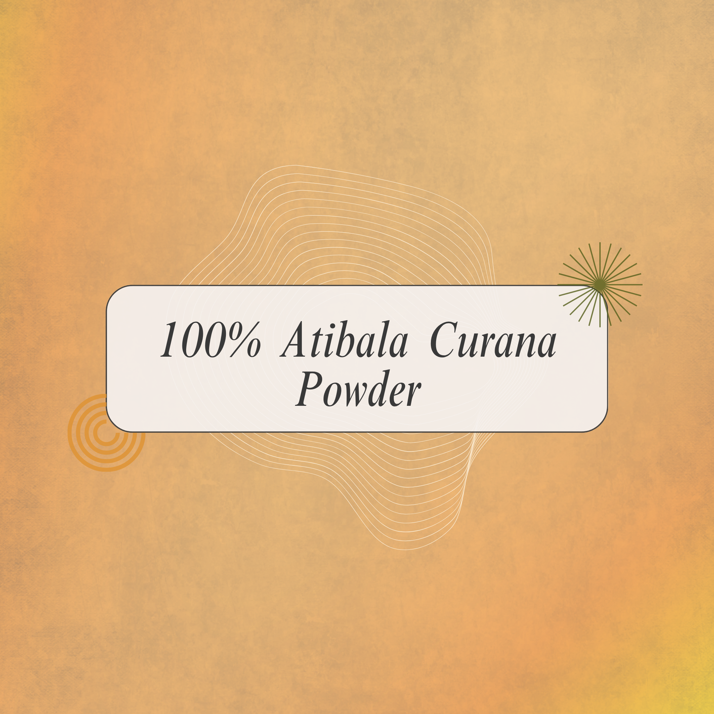 Atibala Curana (Thuthi Podi): Natural Ayurvedic Support for Digestive and Bowel Wellness