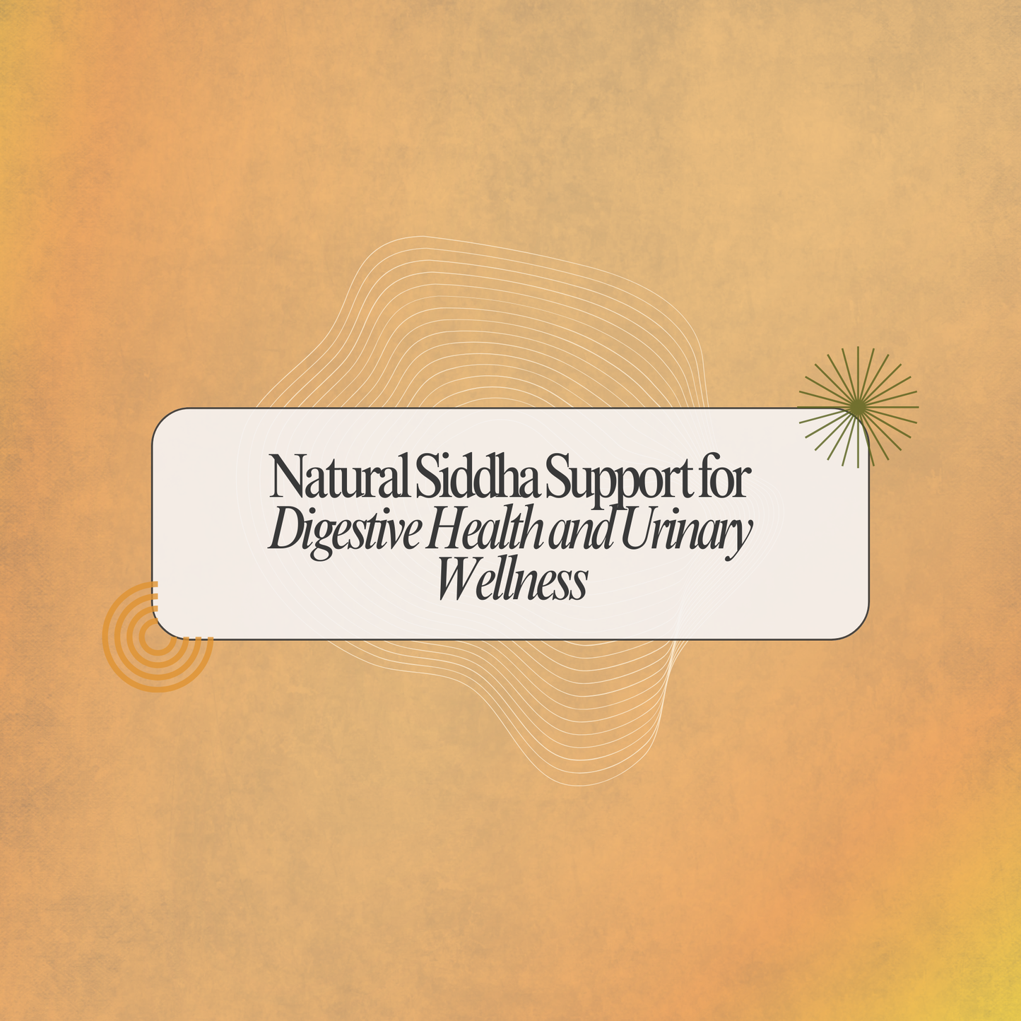 Aegle-M Capsules: Natural Siddha Support for Digestive Wellness and Urinary Comfort